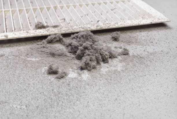 Best Best Air Duct Cleaning Company  in Arkwright, SC