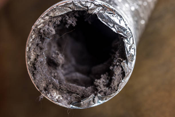  Arkwright, SC Airduct Cleaning Pros